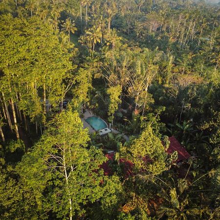 Daydream Lodge Tampaksiring المظهر الخارجي الصورة