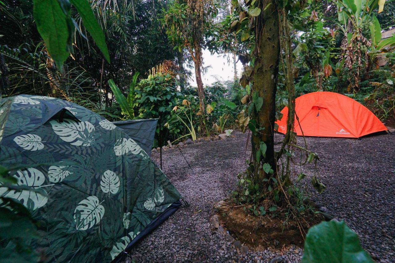 Daydream Lodge Tampaksiring المظهر الخارجي الصورة