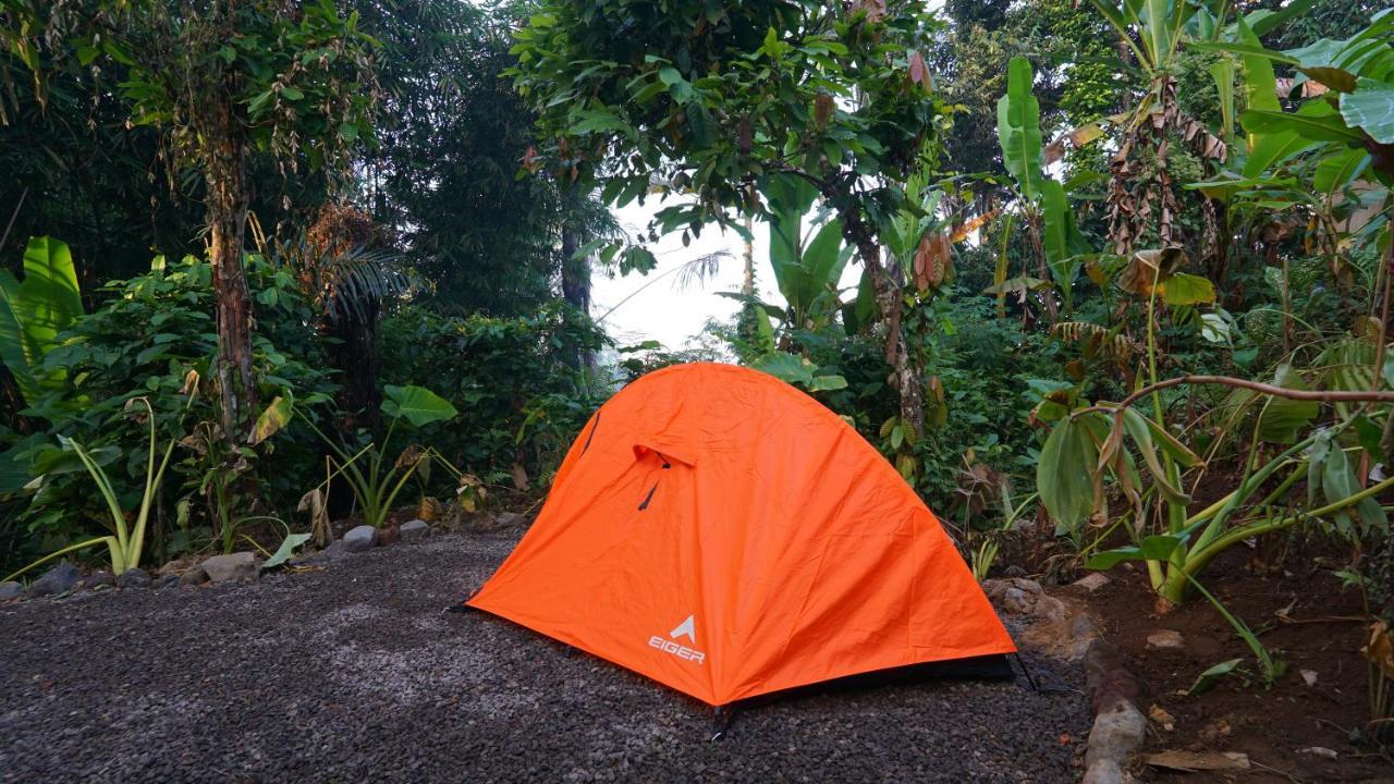 Daydream Lodge Tampaksiring المظهر الخارجي الصورة