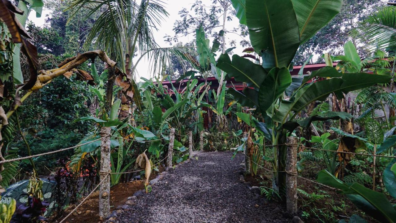 Daydream Lodge Tampaksiring المظهر الخارجي الصورة