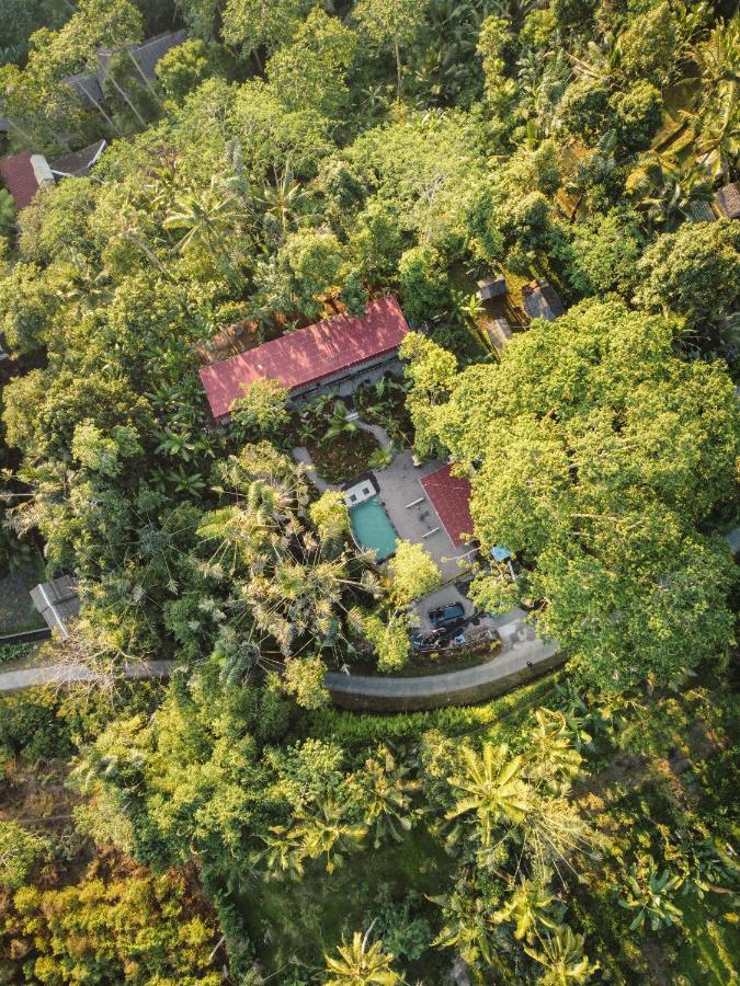 Daydream Lodge Tampaksiring المظهر الخارجي الصورة