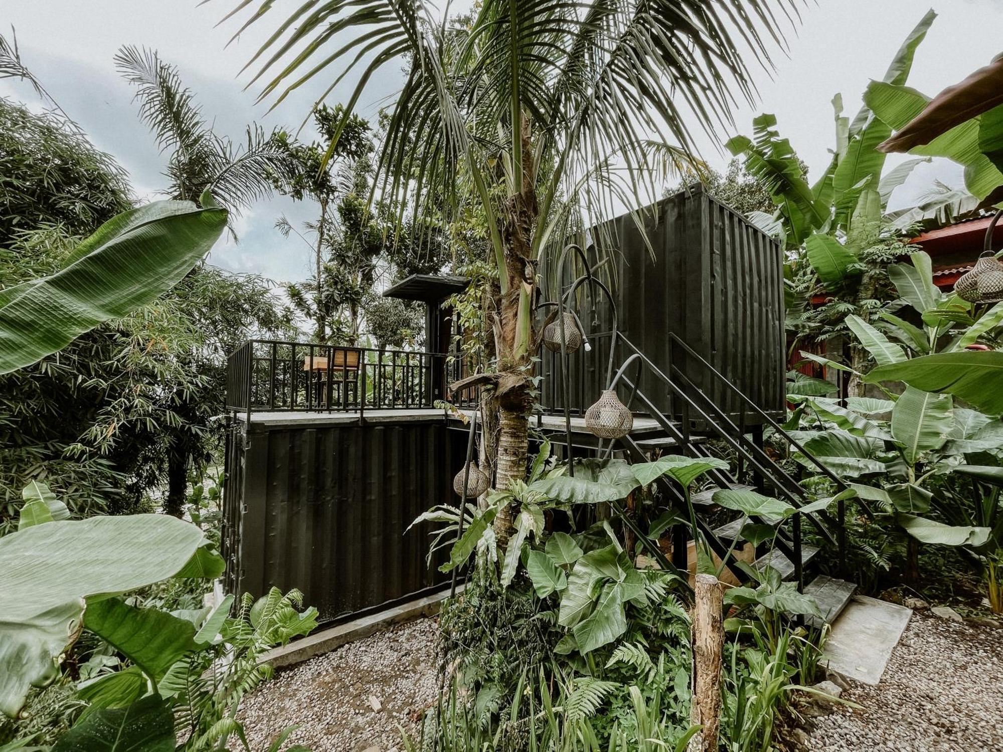 Daydream Lodge Tampaksiring المظهر الخارجي الصورة