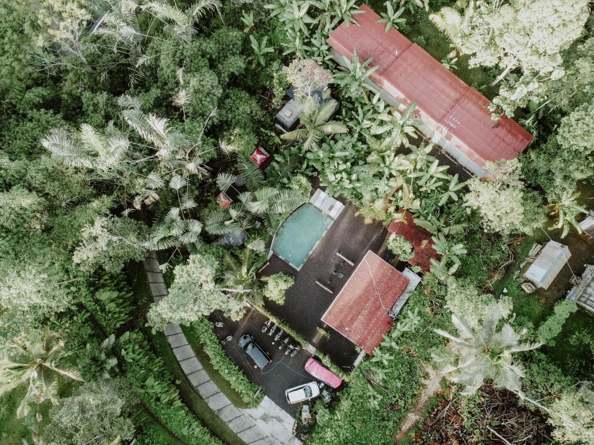 Daydream Lodge Tampaksiring المظهر الخارجي الصورة