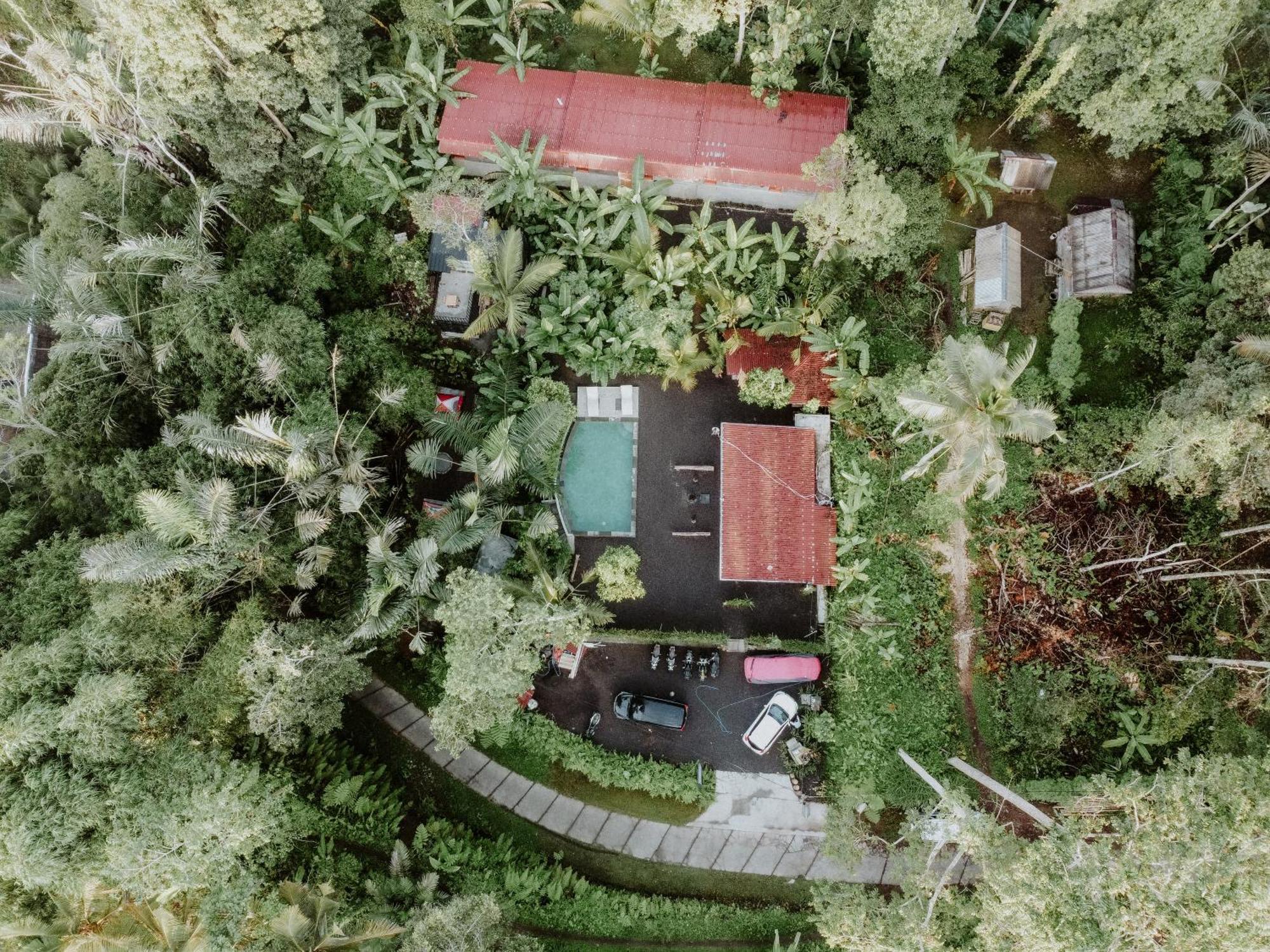 Daydream Lodge Tampaksiring المظهر الخارجي الصورة